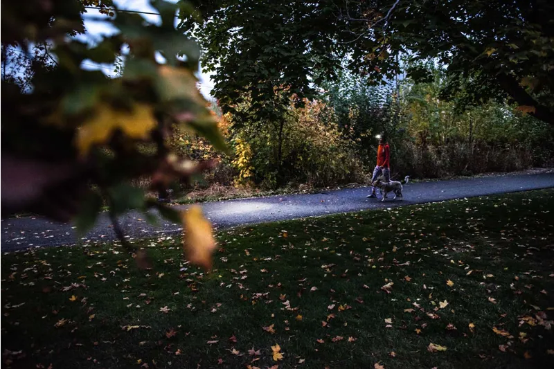 Ledlenser HF4R Core Black Rechargeable Head Torch 500 Lumens-1