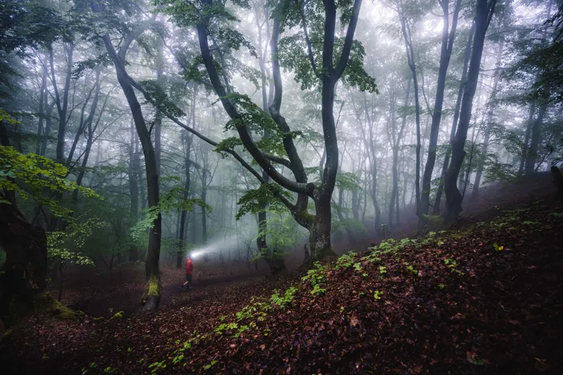 Ledlenser HF8R Core Adaptive Headtorch 1600 Lumen-5