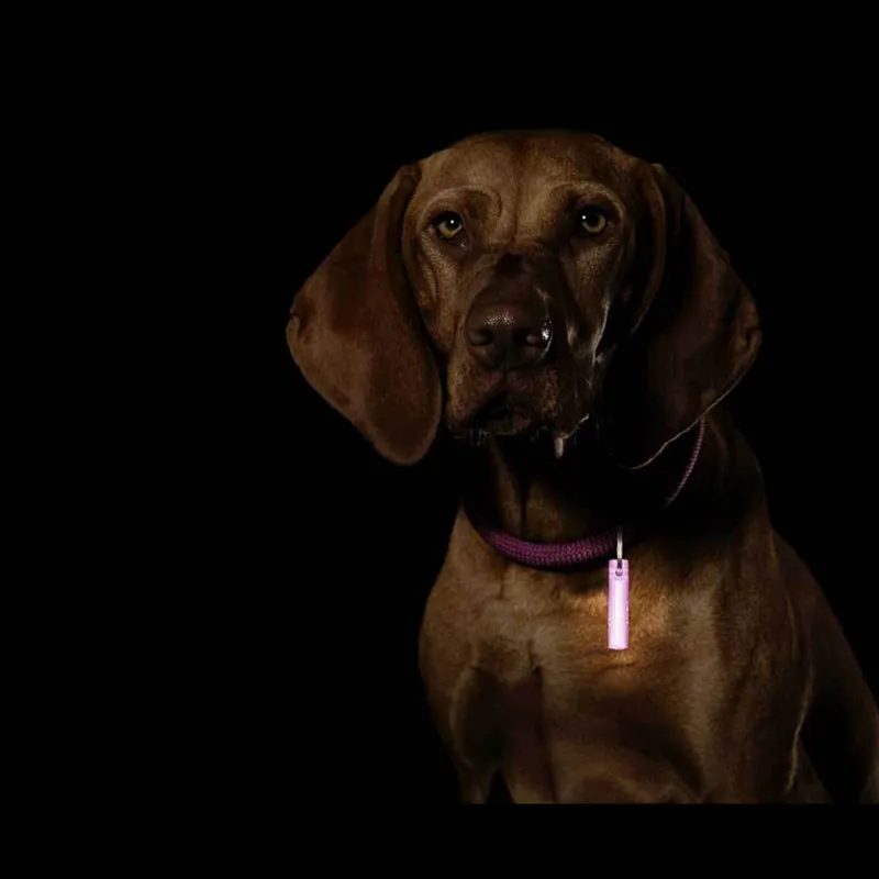  Niglo Gear Marker Nitestik - Atomic Blue-2