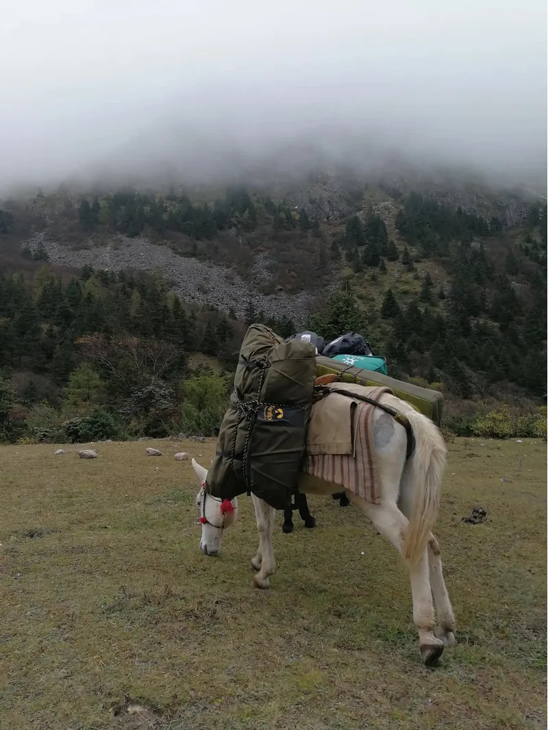 Tentipi SafirFlex 9 Tipi Tent with Open up Sides-2