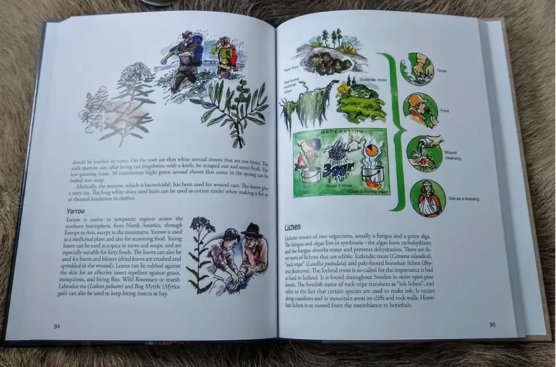 Lars Falt - Survival Skills - Hardback-4