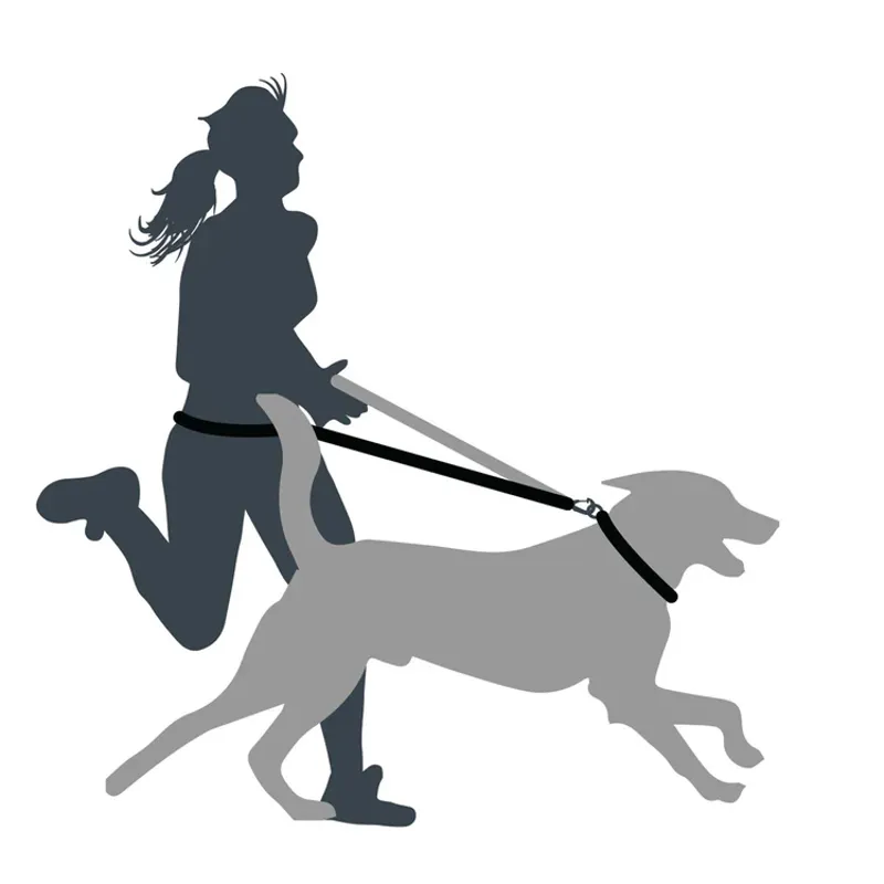 Mountain Paws Shock Absorber Dog Lead - Black-5