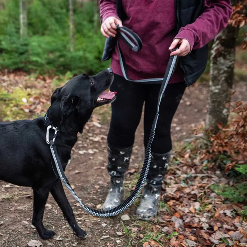 Mountain Paws Shock Absorber Dog Lead - Black