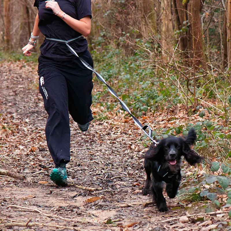 Mountain Paws Shock Absorber Dog Lead - Black-6