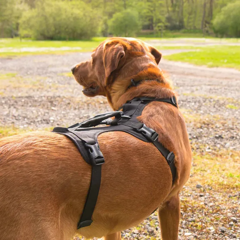 Mountain Paws 3-Strap Dog Harness - Black-9