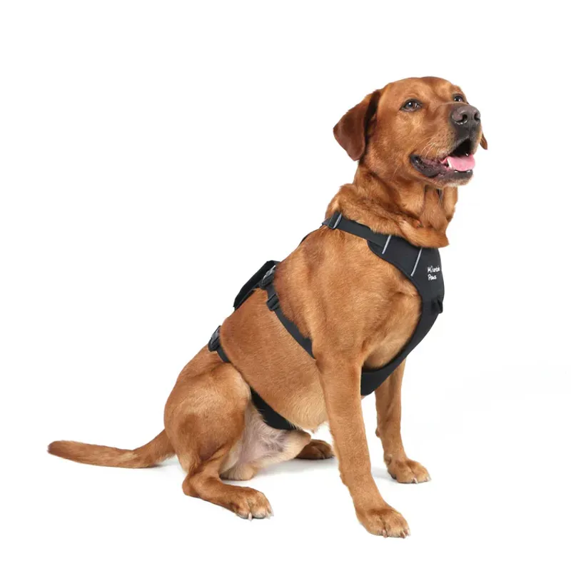 Mountain Paws 3-Strap Dog Harness - Black