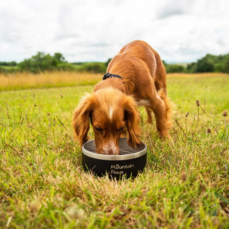 Mountain Paws - Stainless Steel Base Camp Dog Bowl