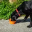 Mountain Paws - Collapsible Silicone Dog Bowl - Grey
