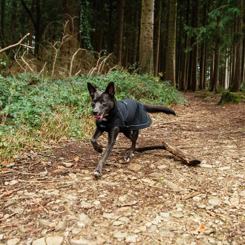 Mountain Paws Fleece Lined Dog Raincoat - Black-12