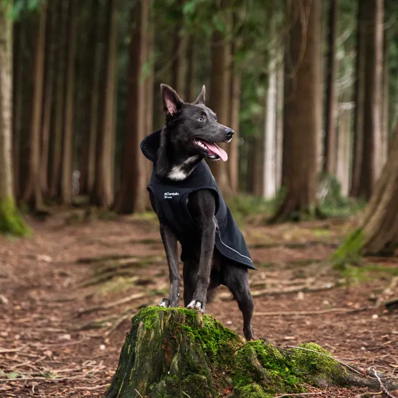 Mountain Paws Fleece Lined Dog Raincoat - Black-10