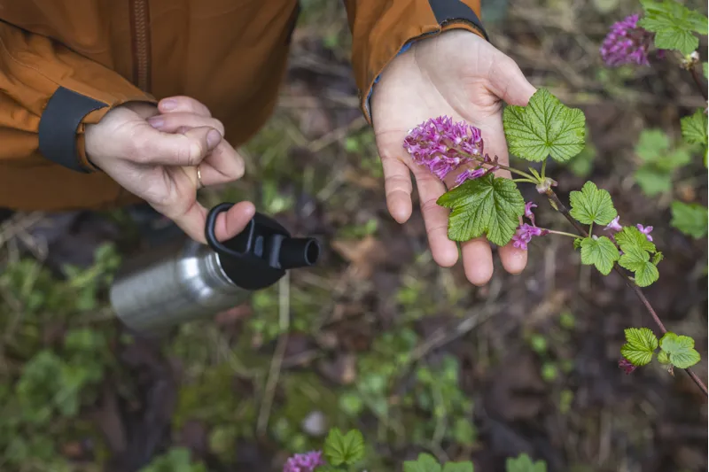 Klean Kanteen Classic Water Bottle with Flip Seal Sport Cap 800ml - Sunset-8