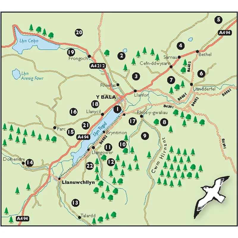Walks around Y Bala and Penllyn - David Berry - Kittiwake Guides-1