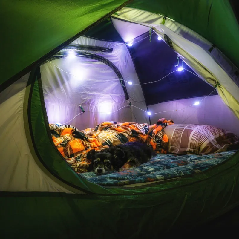 Luci Colour + White String Lights and Mobile Solar Charger for Camping-7