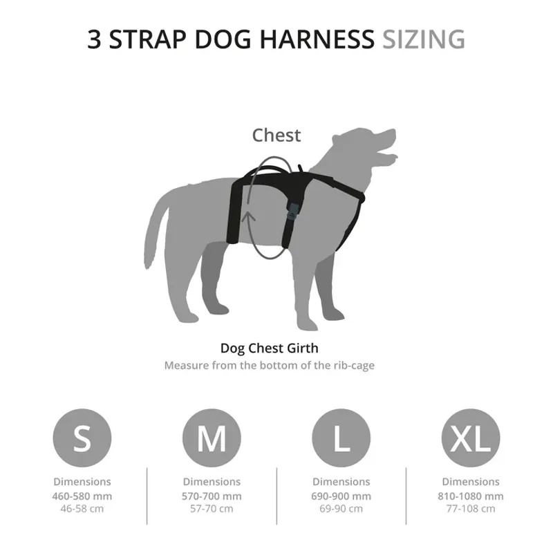 Mountain Paws 3-Strap Dog Harness - Black-4