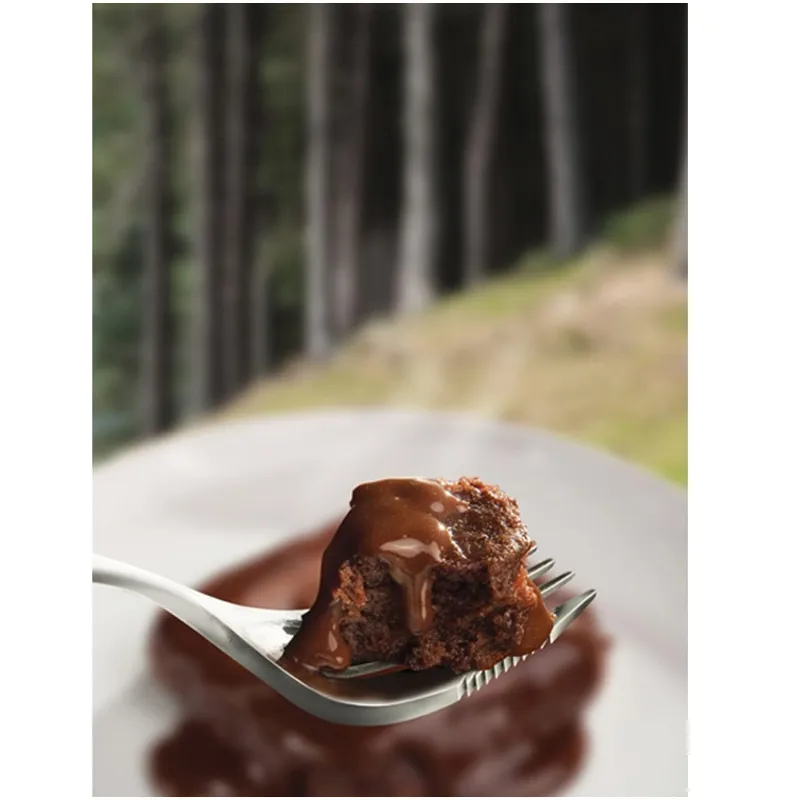 Wayfayrer Chocolate Pudding and Chocolate Sauce 400kCal - Boil in the Bag