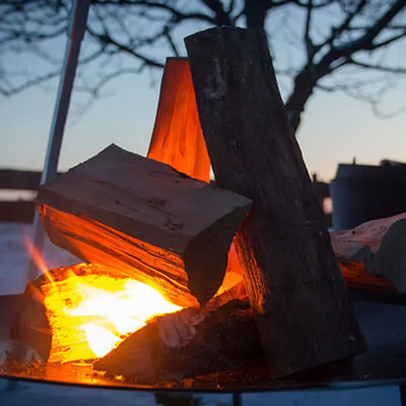 Petromax Griddle and Fire Bowl FS56-2