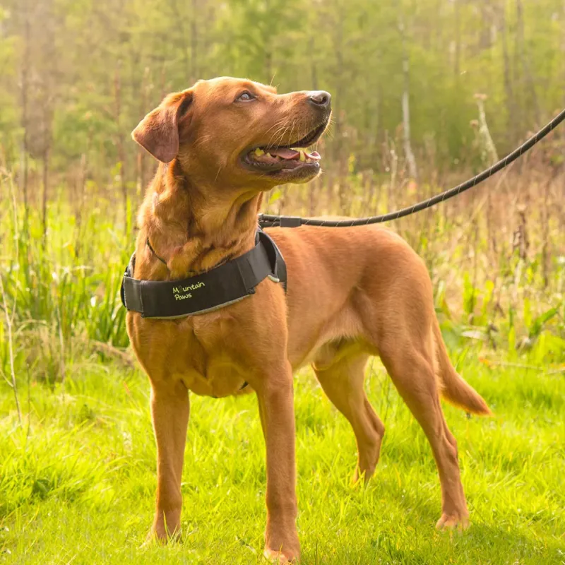 Mountain Paws Extra Tough Dog Harness - Black 