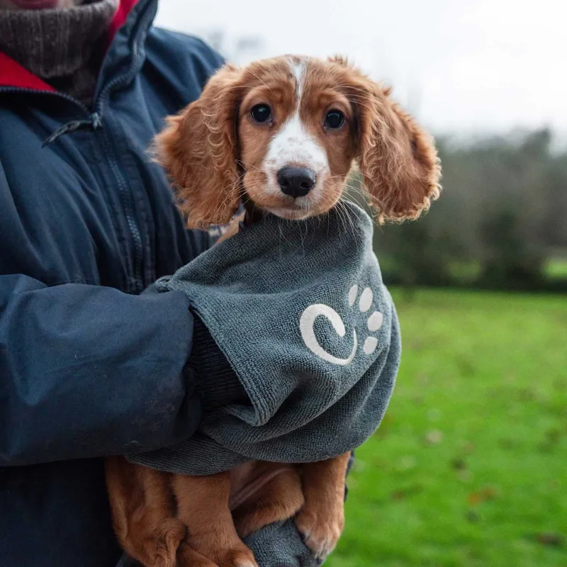 Mountain Paws Muddy Dog Towel