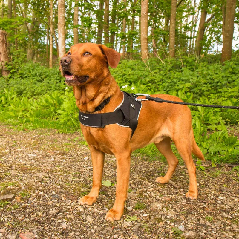 Mountain Paws Extra Tough Dog Harness - Black -1