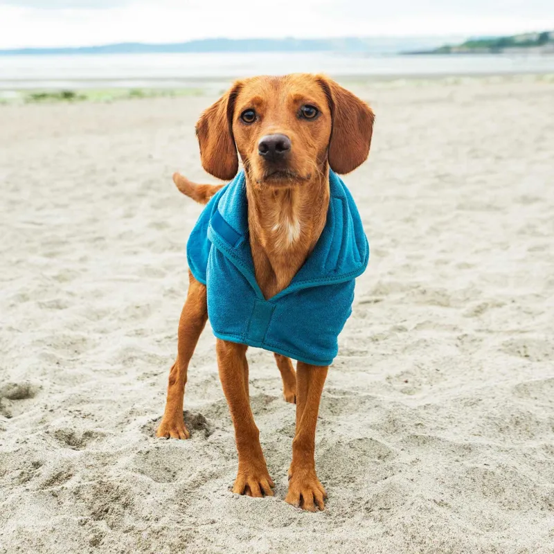 Mountain Paws Microfibre Dog Robe - Blue-9