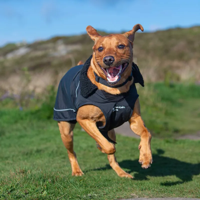 Mountain Paws Fleece Lined Dog Raincoat - Black-11