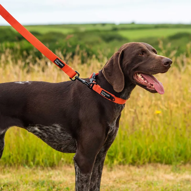 Mountain Paws - Extra Tough Dog Lead - Camo-3