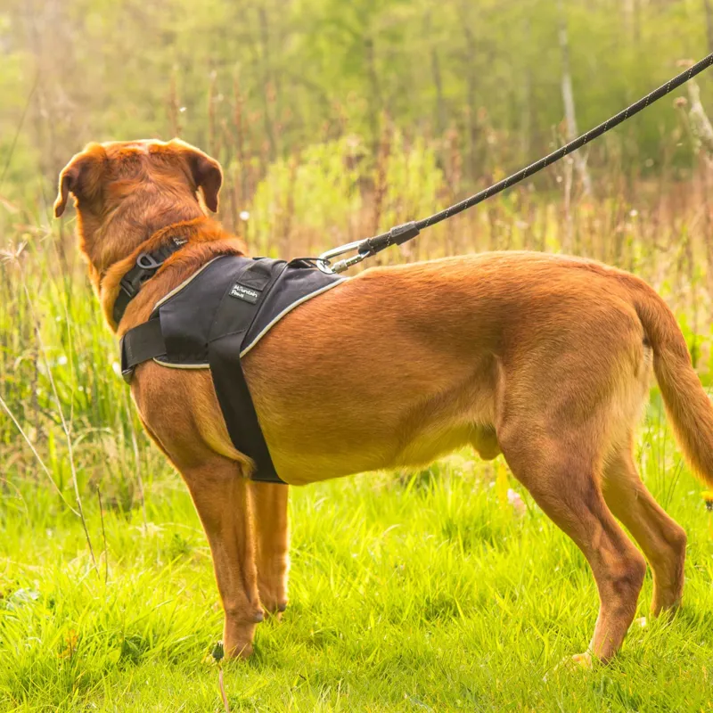 Mountain Paws Extra Tough Dog Harness - Black -2