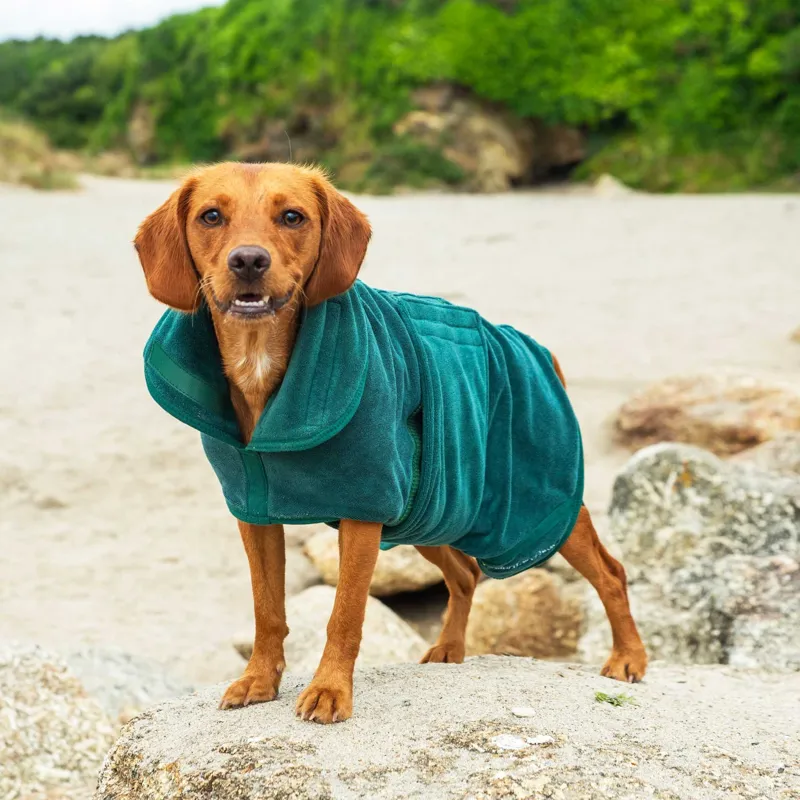 Mountain Paws Dog Robe Small - Green