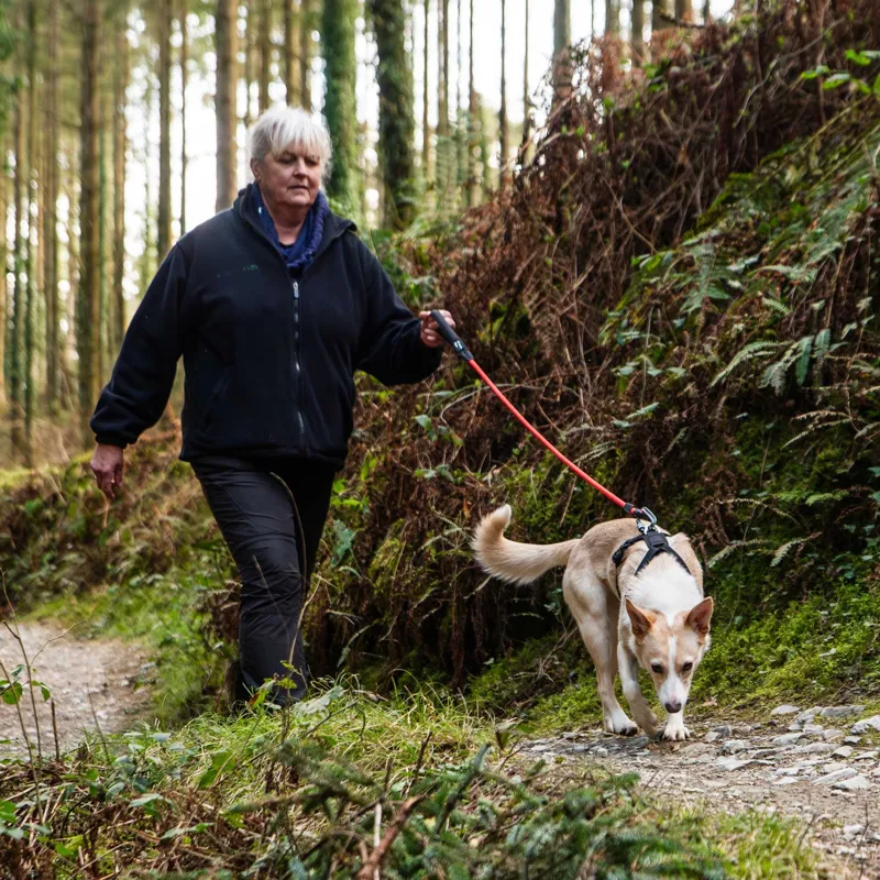 Mountain Paws Climbing Rope Dog Lead - Olive-6