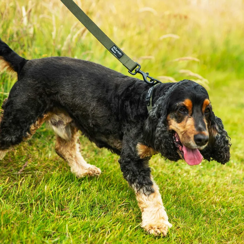 Mountain Paws - Extra Tough Dog Lead - Camo-4