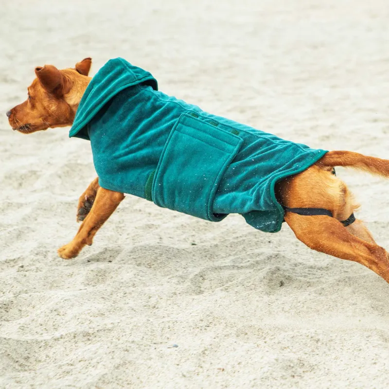 Mountain Paws Microfibre Dog Robe Large - Green-7
