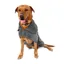 Mountain Paws Microfibre Dog Robe - Grey Medium