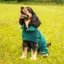 Mountain Paws Microfibre Dog Robe Large - Green