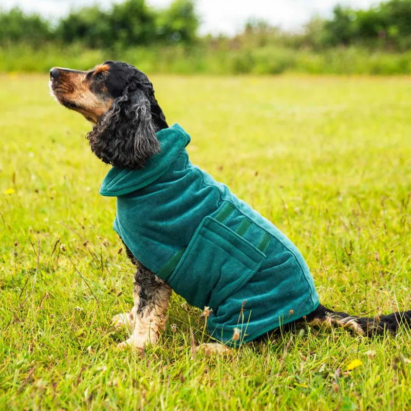 Mountain Paws Microfibre Dog Robe Large - Green-1