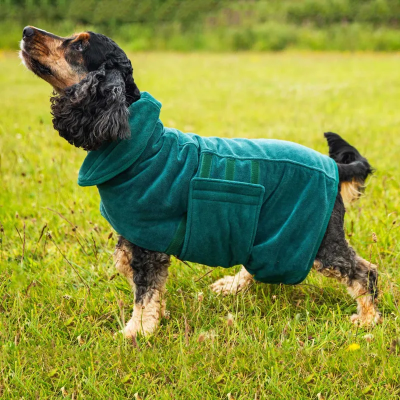 Mountain Paws Microfibre Dog Robe Large - Green-2
