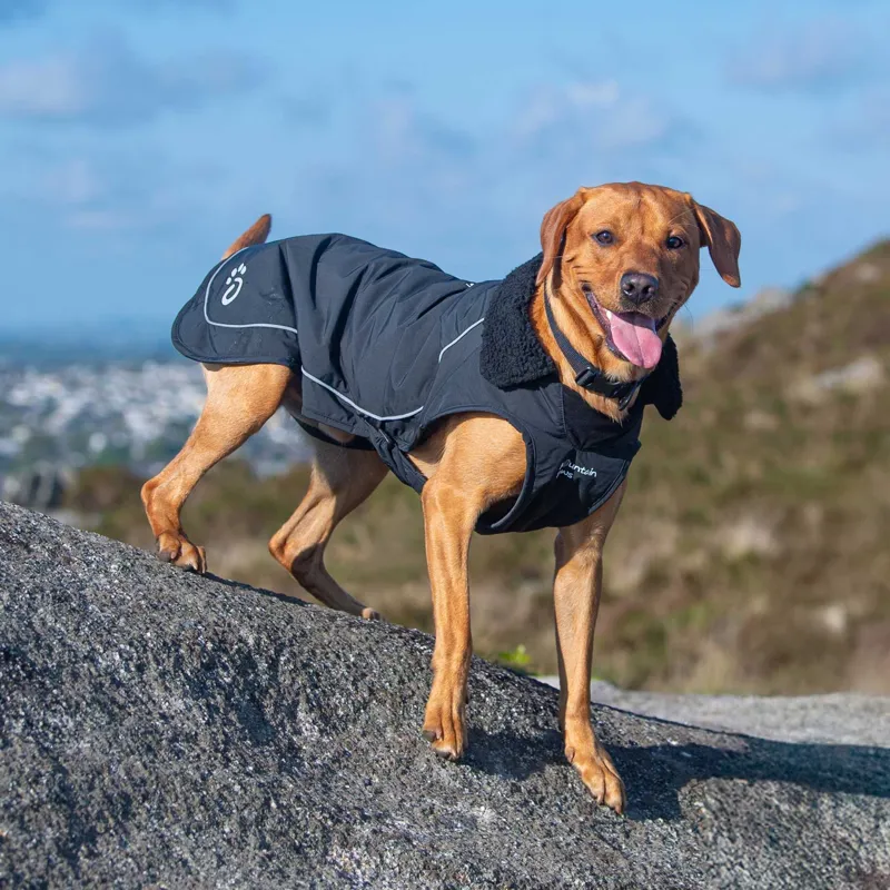 Mountain Paws Fleece Lined Dog Raincoat - Black-13