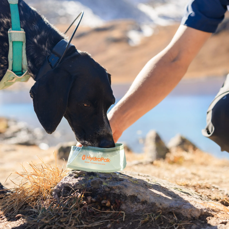 Hydrapak Rover Stowable Dog Bowl Ultralight 22.5 grams-3