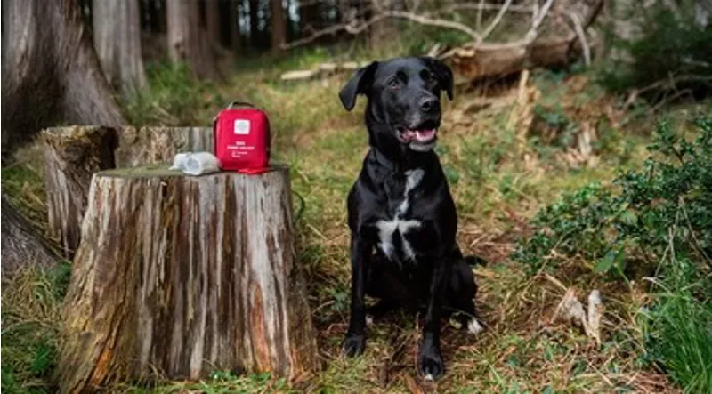 Mountain Paws - Extra Tough Dog Lead - Camo-7