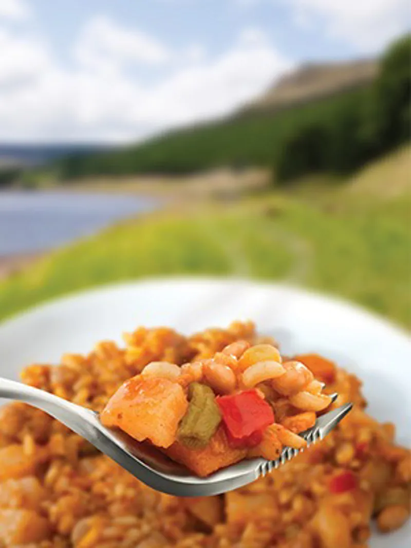 Wayfayrer Vegetable Curry and Rice DofE Approved Boil in the Bag Camping Meal 300g 297kCal-1